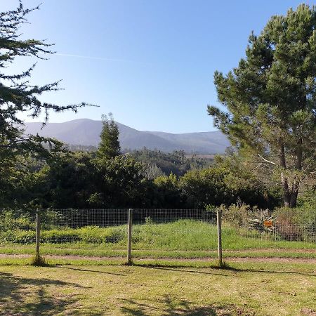 The Crags Elephant Country Guest House المظهر الخارجي الصورة