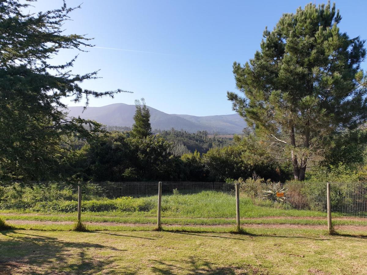The Crags Elephant Country Guest House المظهر الخارجي الصورة
